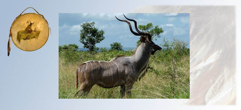 Krafttier Antilope
