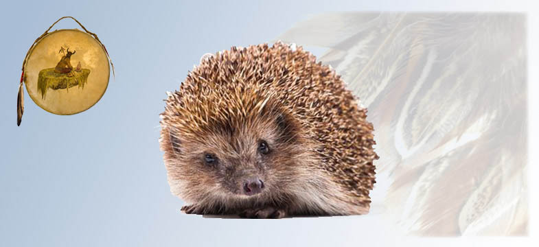 Krafttier Igel