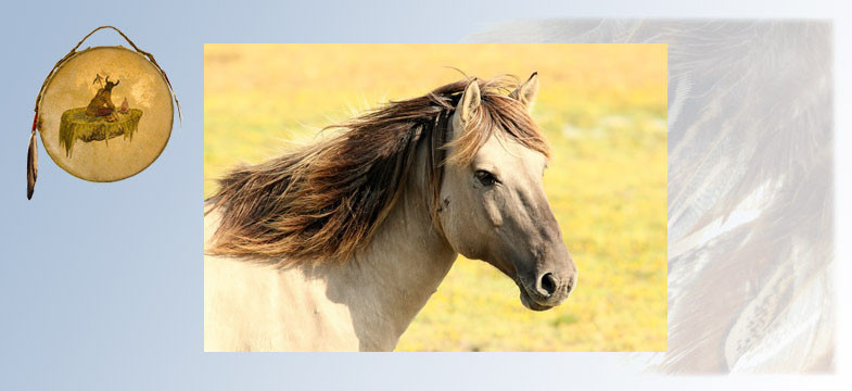 Krafttier Pferd